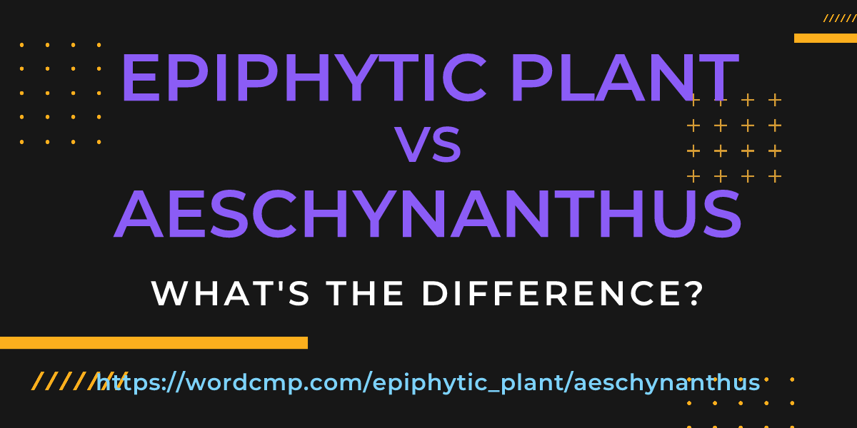 Difference between epiphytic plant and aeschynanthus