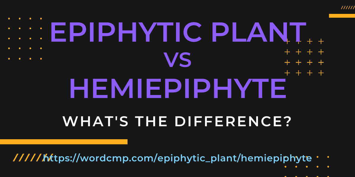 Difference between epiphytic plant and hemiepiphyte