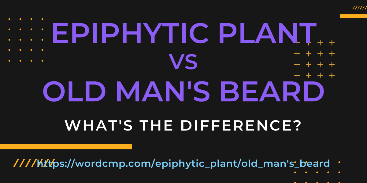 Difference between epiphytic plant and old man's beard