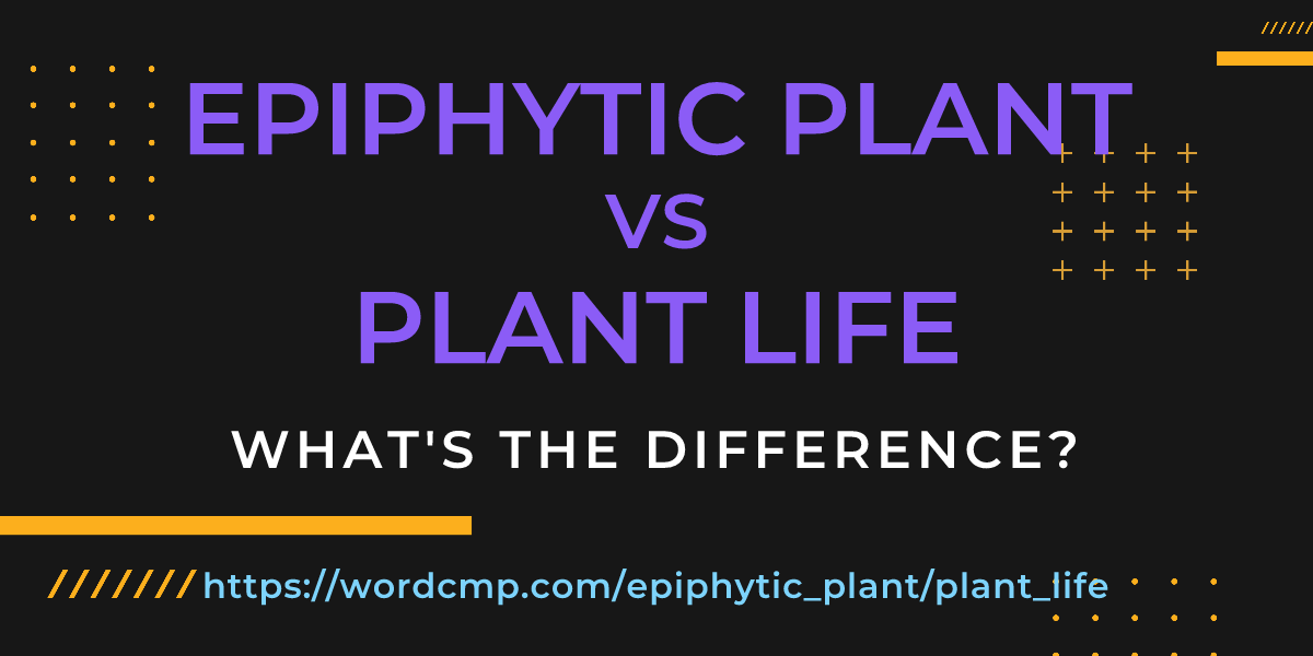 Difference between epiphytic plant and plant life