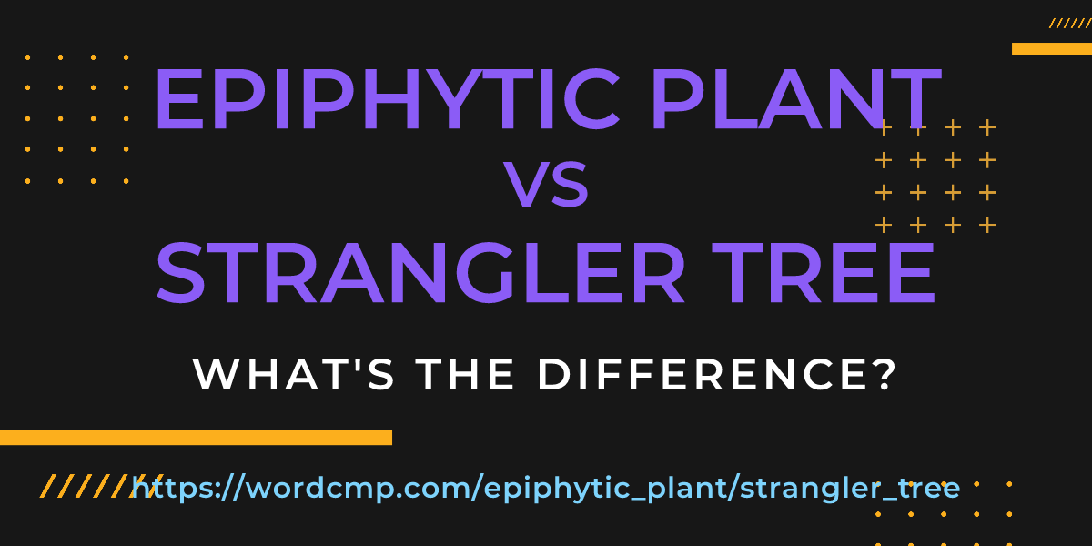 Difference between epiphytic plant and strangler tree