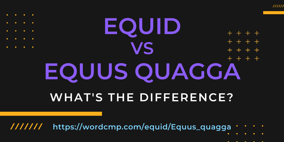 Difference between equid and Equus quagga