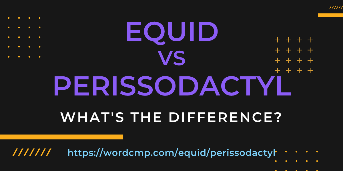 Difference between equid and perissodactyl