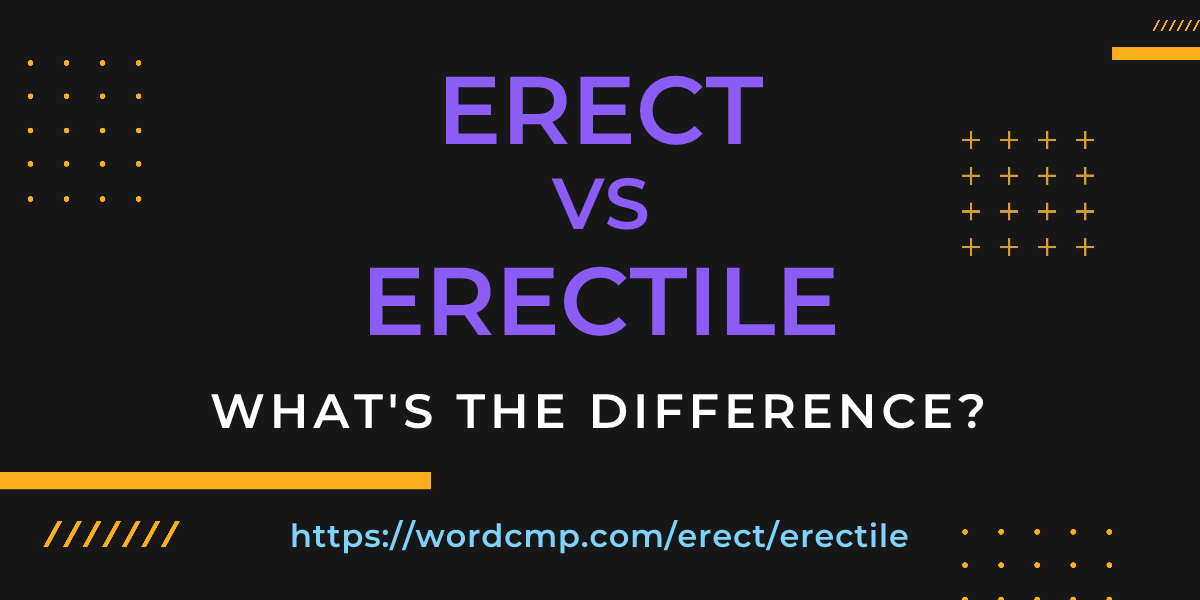 Difference between erect and erectile
