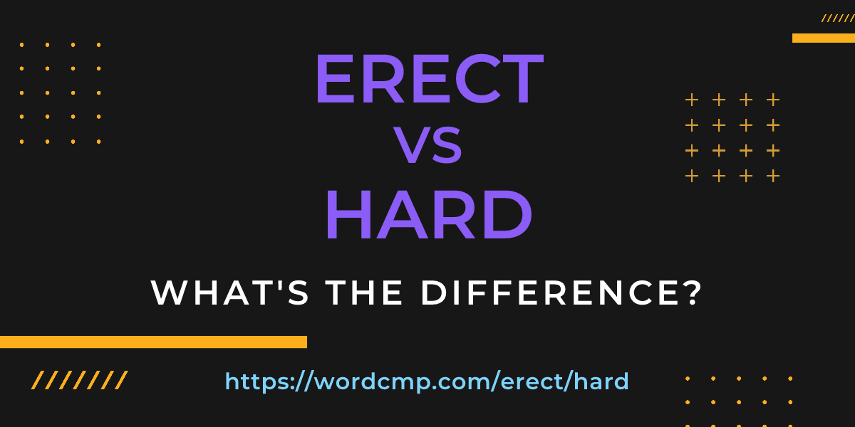 Difference between erect and hard