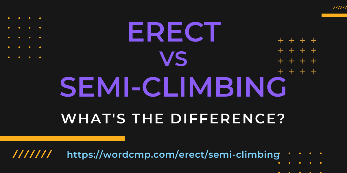 Difference between erect and semi-climbing