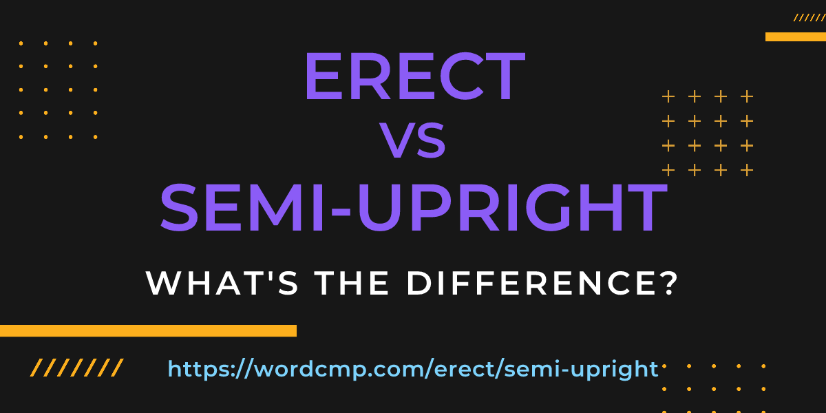Difference between erect and semi-upright