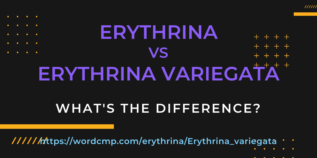Difference between erythrina and Erythrina variegata