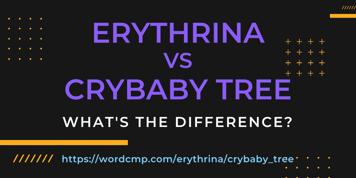 Difference between erythrina and crybaby tree