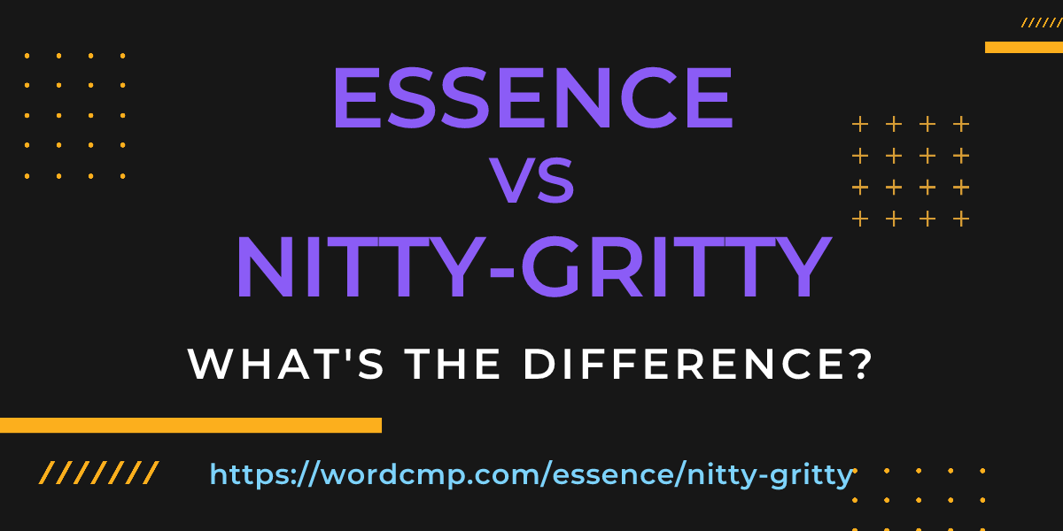 Difference between essence and nitty-gritty