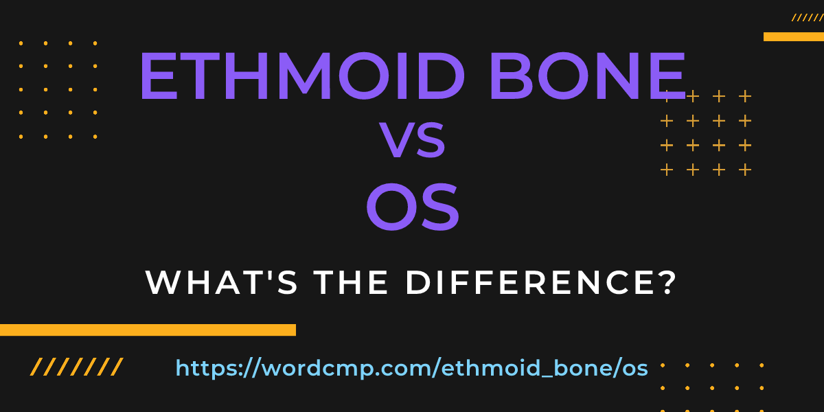Difference between ethmoid bone and os