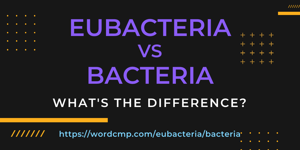 Difference between eubacteria and bacteria