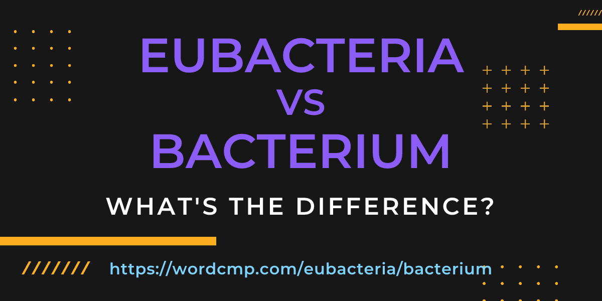 Difference between eubacteria and bacterium