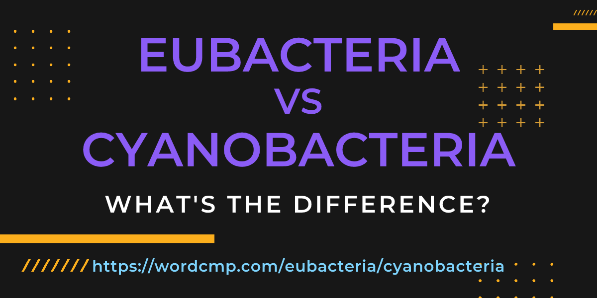Difference between eubacteria and cyanobacteria