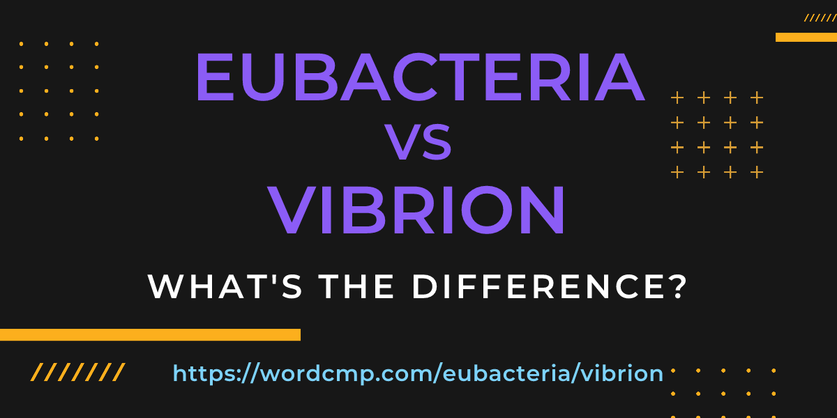 Difference between eubacteria and vibrion