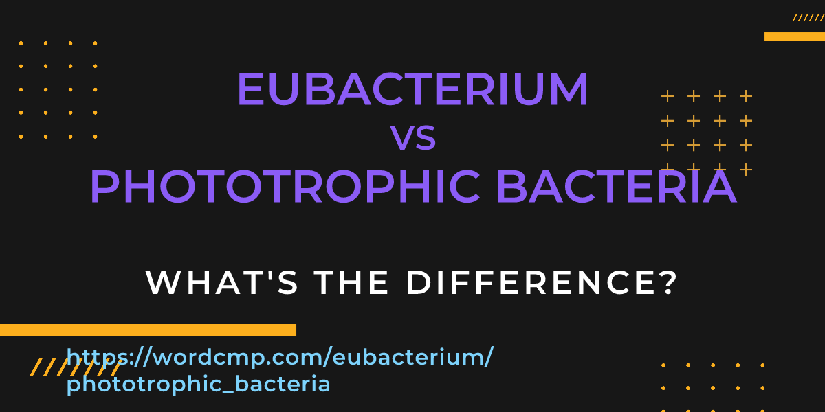 Difference between eubacterium and phototrophic bacteria