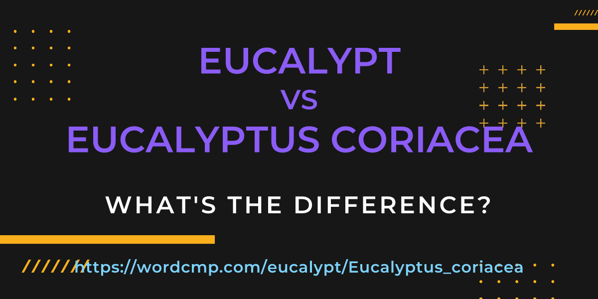 Difference between eucalypt and Eucalyptus coriacea