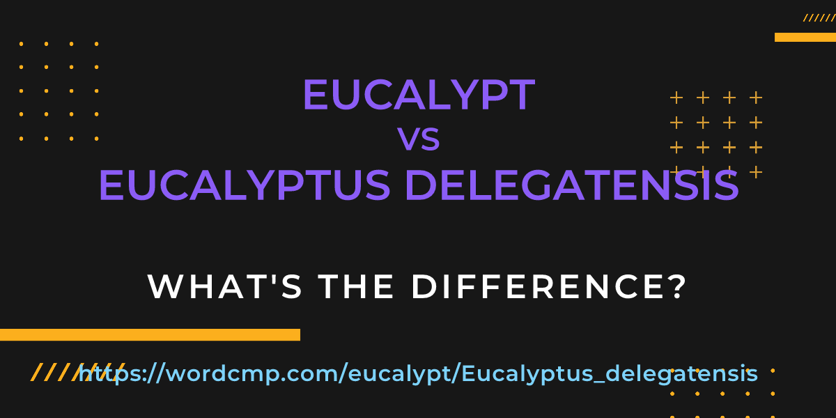 Difference between eucalypt and Eucalyptus delegatensis