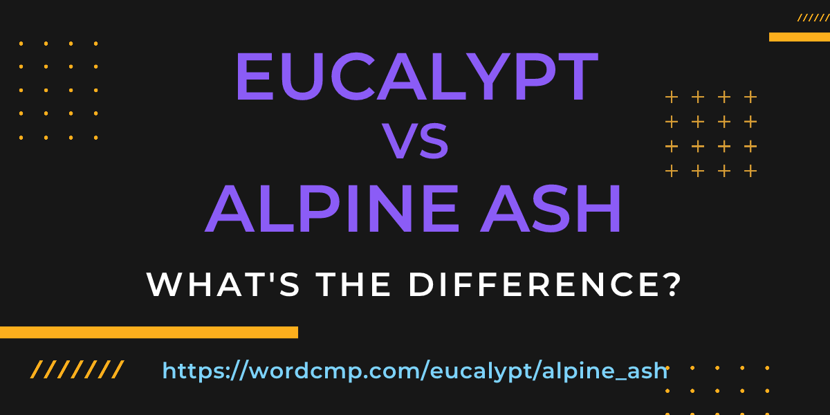 Difference between eucalypt and alpine ash