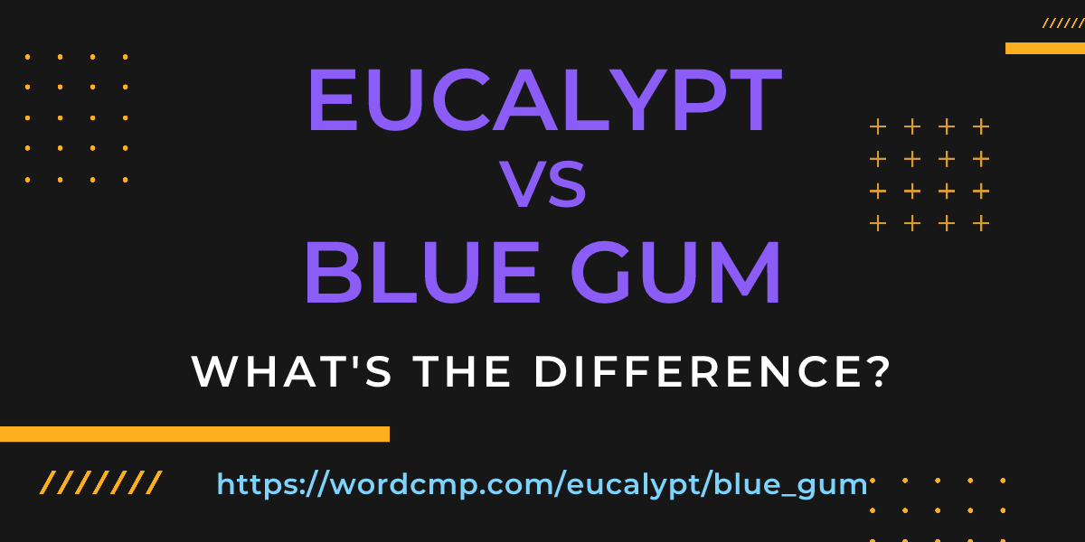 Difference between eucalypt and blue gum