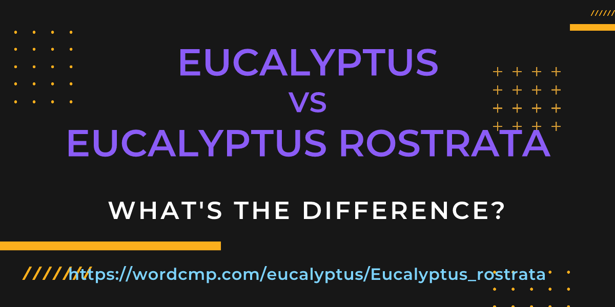 Difference between eucalyptus and Eucalyptus rostrata