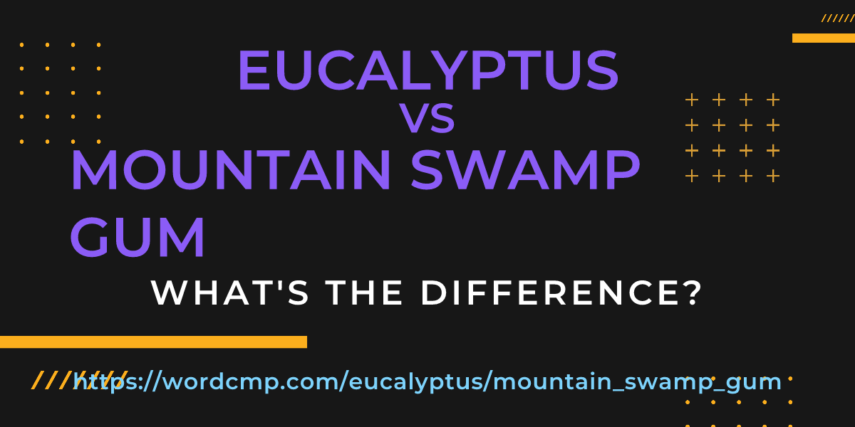 Difference between eucalyptus and mountain swamp gum