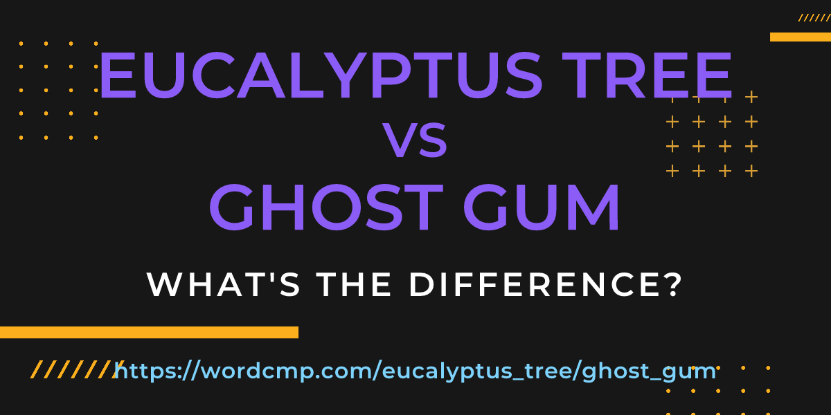Difference between eucalyptus tree and ghost gum