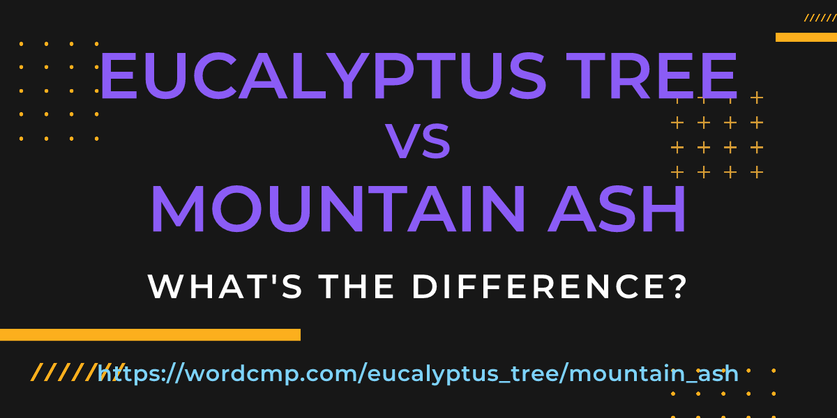 Difference between eucalyptus tree and mountain ash