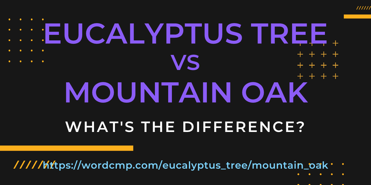 Difference between eucalyptus tree and mountain oak