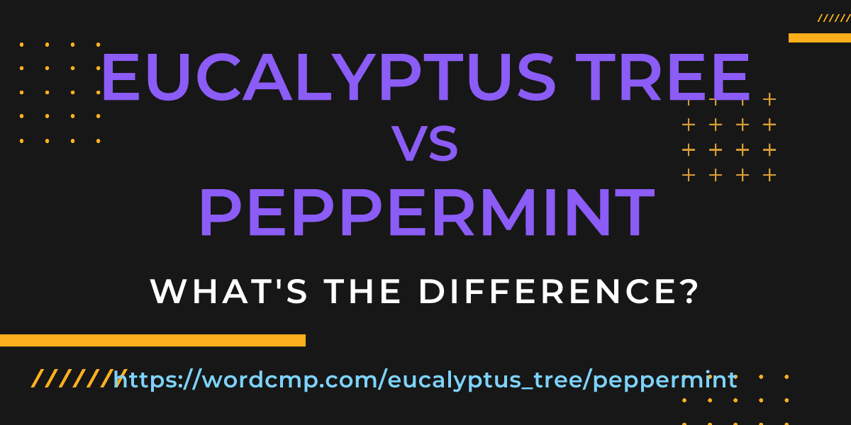 Difference between eucalyptus tree and peppermint