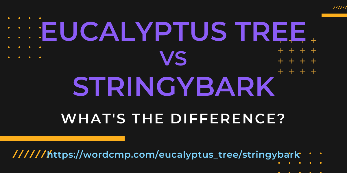 Difference between eucalyptus tree and stringybark
