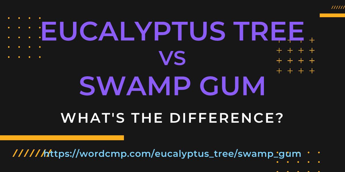 Difference between eucalyptus tree and swamp gum