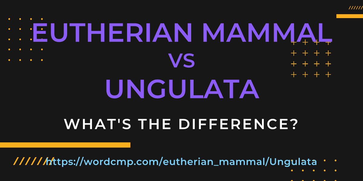 Difference between eutherian mammal and Ungulata