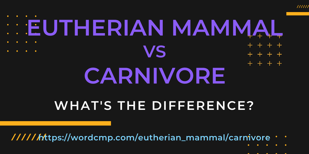 Difference between eutherian mammal and carnivore
