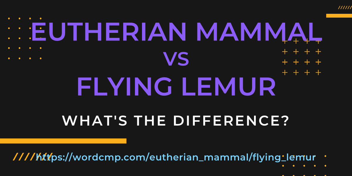 Difference between eutherian mammal and flying lemur