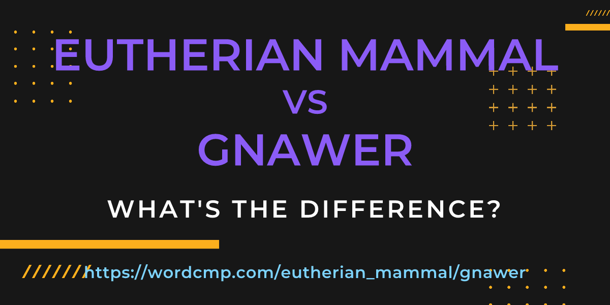Difference between eutherian mammal and gnawer