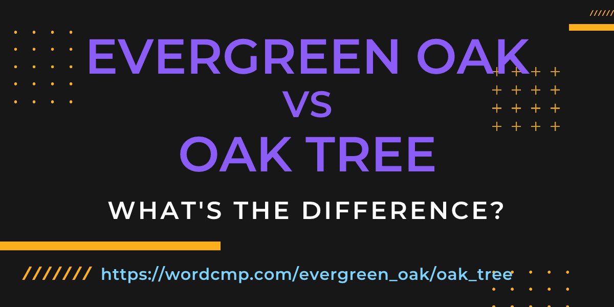 Difference between evergreen oak and oak tree