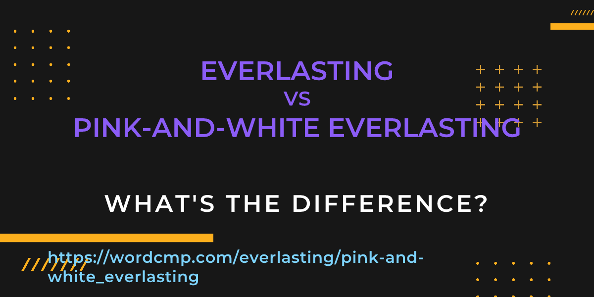 Difference between everlasting and pink-and-white everlasting