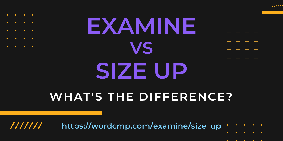 Difference between examine and size up