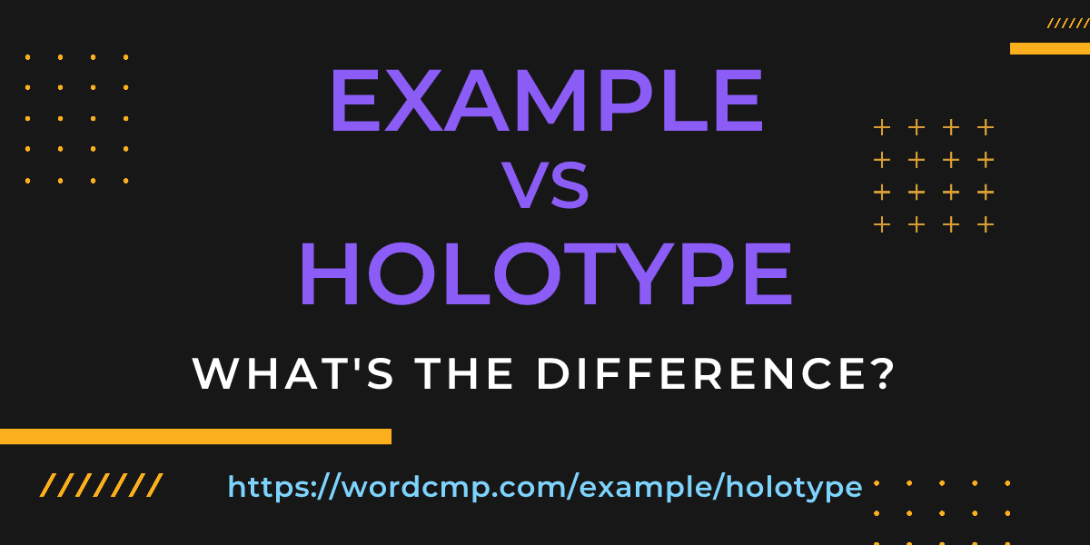 Difference between example and holotype