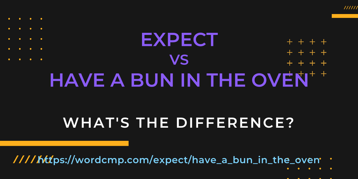 Difference between expect and have a bun in the oven