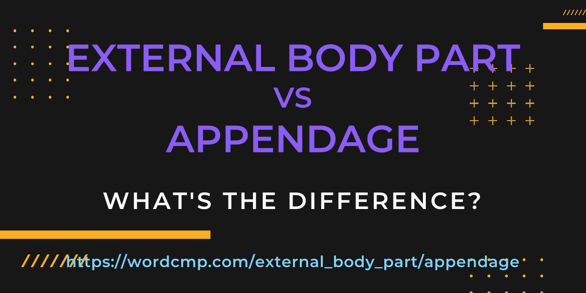 Difference between external body part and appendage