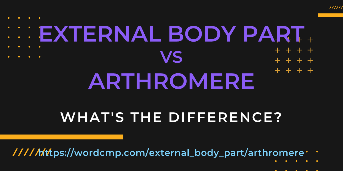 Difference between external body part and arthromere