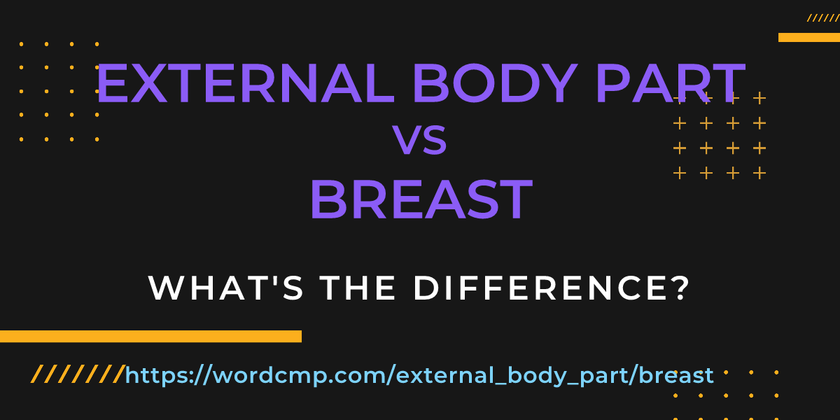 Difference between external body part and breast