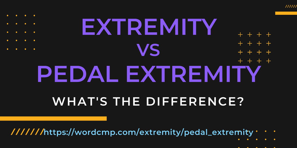 Difference between extremity and pedal extremity