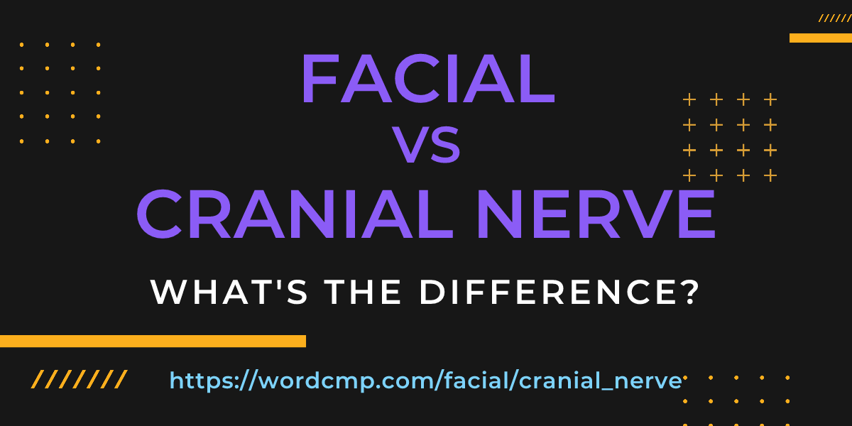 Difference between facial and cranial nerve
