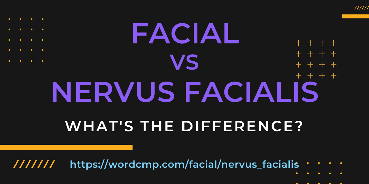 Difference between facial and nervus facialis