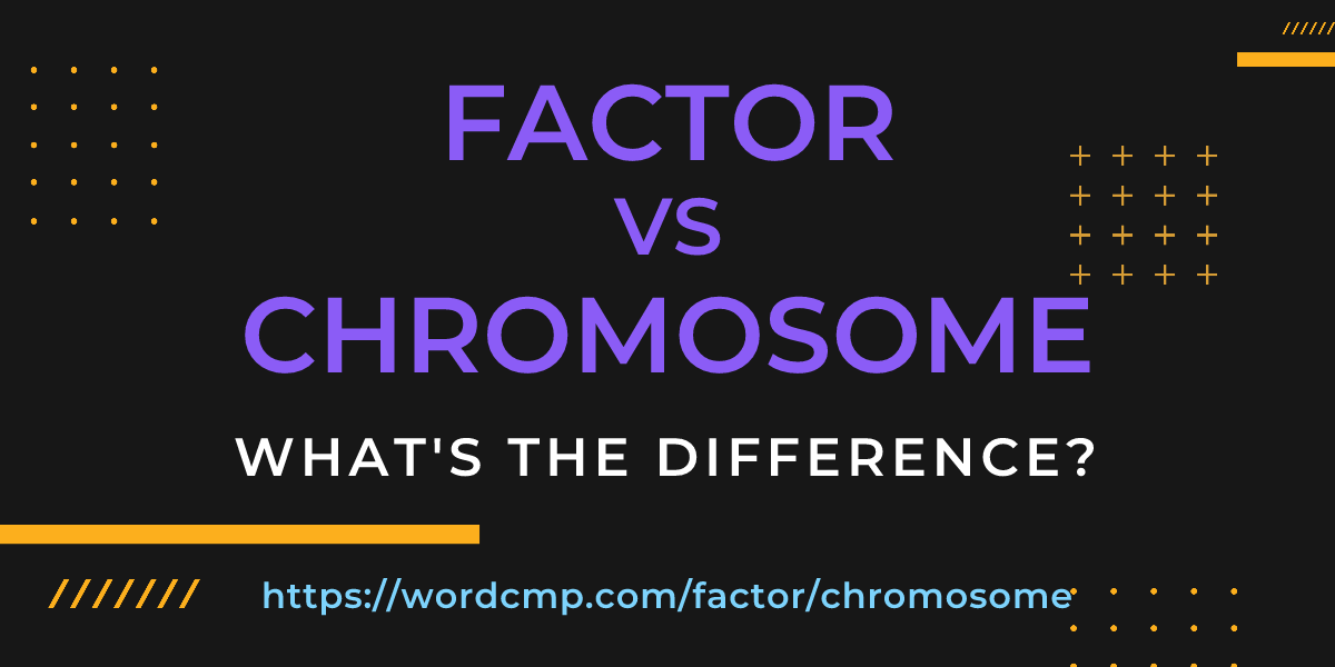 Difference between factor and chromosome