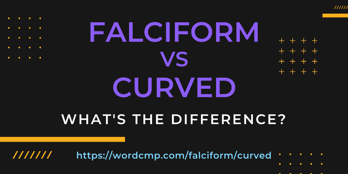 Difference between falciform and curved