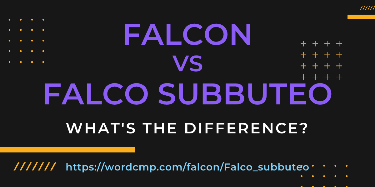 Difference between falcon and Falco subbuteo